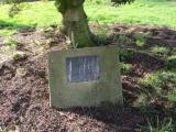 image of grave number 969400